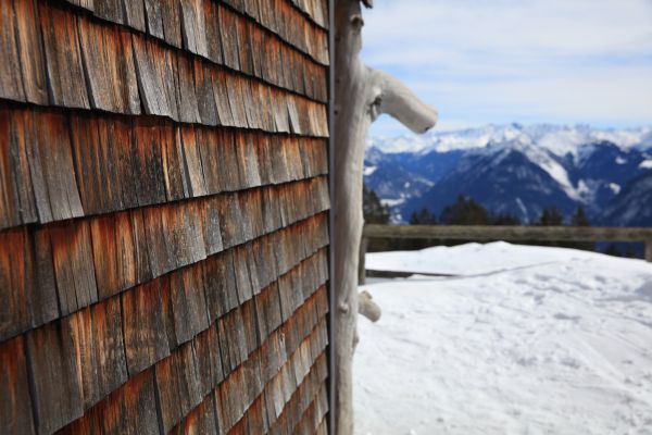 Cost of Cedar Siding Repair in League City