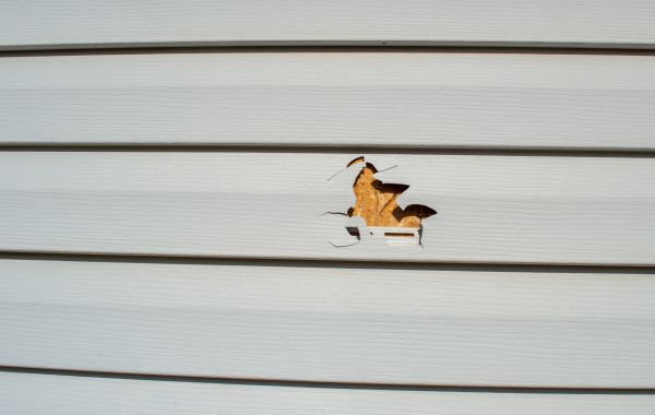 Cost of Siding Hole Repair in League City