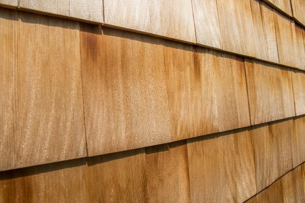 Cost of Cedar Siding Replacement in League City