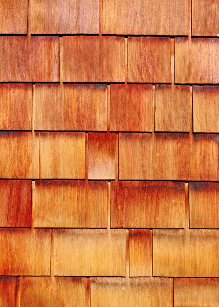 Cost of Wood Siding Replacement in League City